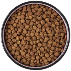 Frisco Paris Non-skid Ceramic Cat Dish, 1.62 Cup -FRISCO Sales 256117 PT5. SY630 V1615311392