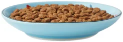 Frisco New York Non-skid Ceramic Cat Dish, 0.62 Cup -FRISCO Sales 256119 PT5. SY630 V1618494742