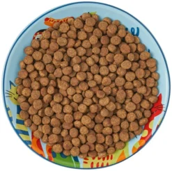 Frisco New York Non-skid Ceramic Cat Dish, 0.62 Cup -FRISCO Sales 256119 PT6. SY630 V1617196905