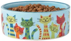 Frisco New York Non-skid Ceramic Cat Bowl, 1.62 Cups -FRISCO Sales 256121 PT3. SY630 V1615311114