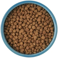 Frisco New York Non-skid Ceramic Cat Bowl, 1.62 Cups -FRISCO Sales 256121 PT5. SY630 V1615311387