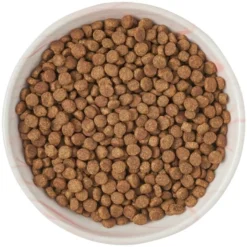 Frisco Marble Design Non-skid Ceramic Cat Bowl, 1.25 Cups -FRISCO Sales 256125 PT5. SY630 V1615311382