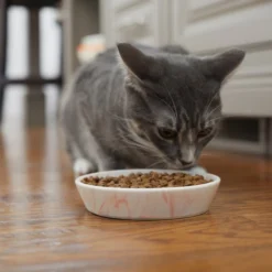 Frisco Marble Design Non-skid Ceramic Cat Bowl, 1.25 Cups -FRISCO Sales 256125 PT6. SY630 V1617037714