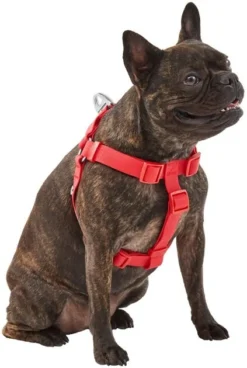 Frisco Outdoor Solid Textured Waterproof Stink Proof PVC Dog Harness -FRISCO Sales 256518 PT2. SY630 V1625164704