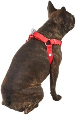 Frisco Outdoor Solid Textured Waterproof Stink Proof PVC Dog Harness -FRISCO Sales 256518 PT3. SY630 V1625164999