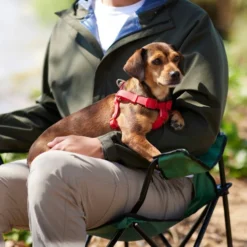 Frisco Outdoor Solid Textured Waterproof Stink Proof PVC Dog Harness -FRISCO Sales 256518 PT5. SY630 V1625587387