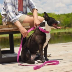 Frisco Outdoor Solid Textured Waterproof Stink Proof PVC Dog Leash -FRISCO Sales 256546 PT5. SY630 V1625589509