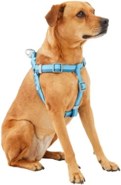 Frisco Outdoor Two Tone Waterproof Stinkproof PVC Dog Harness -FRISCO Sales 256565 PT2. SY630 V1625165009