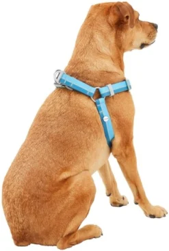 Frisco Outdoor Two Tone Waterproof Stinkproof PVC Dog Harness -FRISCO Sales 256565 PT3. SY630 V1625164653