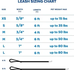 Frisco Outdoor Two Toned Waterproof Stink Proof PVC Dog Leash -FRISCO Sales 256607 PT6. SY630 V1630005752