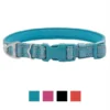 Frisco Outdoor Nylon Reflective Comfort Padded Dog Collar -FRISCO Sales 256658 MAIN. SY630 V1626894140