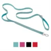 Frisco Outdoor Nylon Reflective Comfort Padded Dog Leash -FRISCO Sales 256678 MAIN. SY630 V1626895003