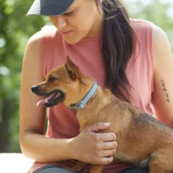 Frisco Outdoor Comfort Print Nylon Padded Dog Collar -FRISCO Sales 256713 PT5. SY630 V1625587063