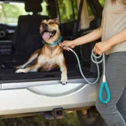 Frisco Outdoor Ultra Reflective Rope Leash with Padded Handle -FRISCO Sales 256753 PT5. SY630 V1625587202