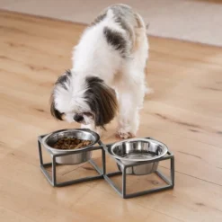 Frisco Diamond Dog & Cat Double Bowl Diner -FRISCO Sales 257147 PT8. SY630 V1615840442