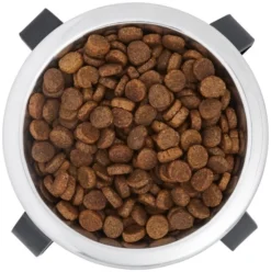 Frisco Iron Stand Dog & Cat Single Bowl Diner -FRISCO Sales 257150 PT4. SY630 V1615312614