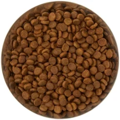 Frisco Flare Dog & Cat Bowl 13 Frisco Flare Dog & Cat Bowl -FRISCO Sales 257162 PT4. SY630 V1612366692