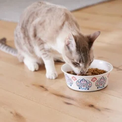 Frisco Bohemian Dog & Cat Bowl -FRISCO Sales 257195 PT7. SY630 V1615989147