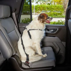 Frisco Adjustable Dog Seatbelt Tether