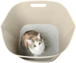 Frisco Leaf High-Sided Cat Litter Box, Large -FRISCO Sales 258782 PT2. SY630 V1615842997