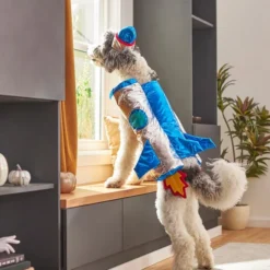 Frisco Rocket Ship Dog & Cat Costume -FRISCO Sales 260903 PT8. SY630 V1624401171