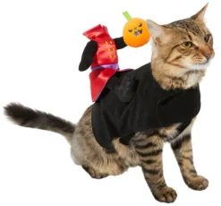 Frisco Headless Rider Dog & Cat Costume