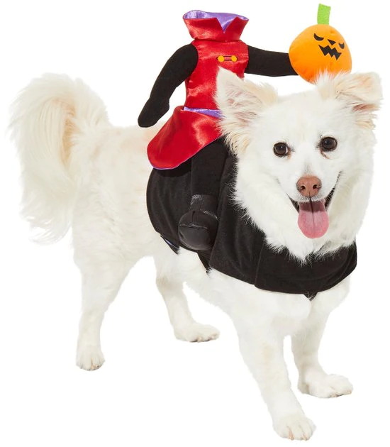 Frisco Headless Rider Dog & Cat Costume 5 Frisco Headless Rider Dog & Cat Costume - Image 3