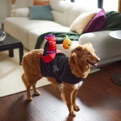 Frisco Headless Rider Dog & Cat Costume 13 Frisco Headless Rider Dog & Cat Costume -FRISCO Sales 260910 PT8. SY630 V1624461040