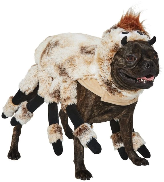 Frisco Spider Dog & Cat Costume 3 Frisco Spider Dog & Cat Costume