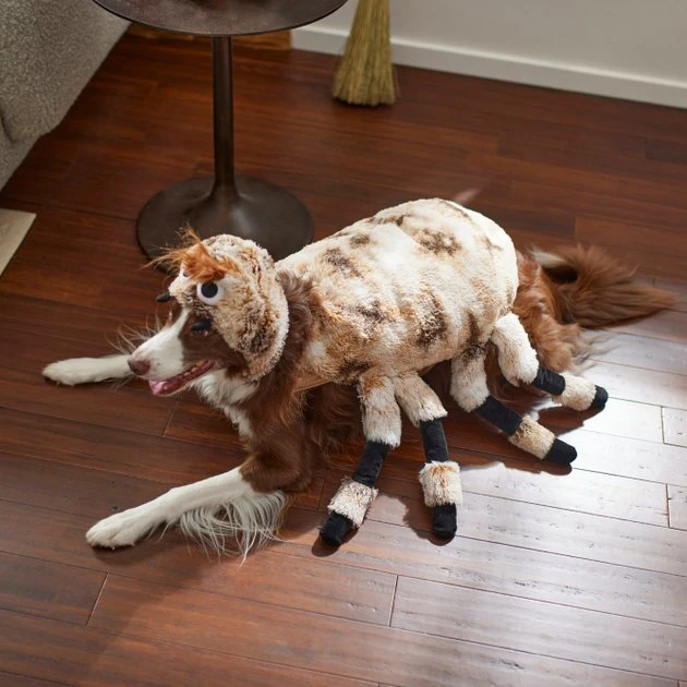 Frisco Spider Dog & Cat Costume 8 Frisco Spider Dog & Cat Costume - Image 6