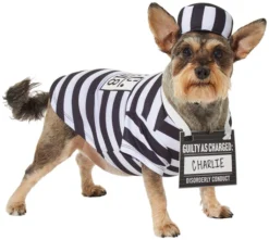 Frisco Prisoner Dog & Cat Costume -FRISCO Sales 260931 PT2. SY630 V1625077357