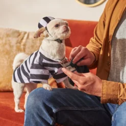 Frisco Prisoner Dog & Cat Costume -FRISCO Sales 260931 PT8. SY630 V1624400474