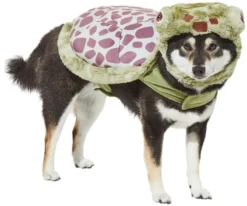 Frisco Sea Turtle Dog & Cat Costume