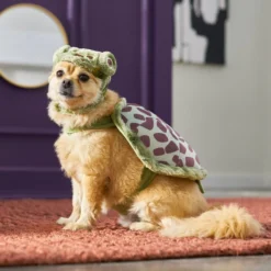 Frisco Sea Turtle Dog & Cat Costume -FRISCO Sales 260948 PT8. SY630 V1624336656