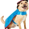 Frisco Wizard Dog & Cat Costume -FRISCO Sales 260962 MAIN. SY630 V1624338516