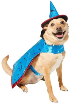 Frisco Wizard Dog & Cat Costume