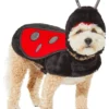 Frisco Ladybug Dog & Cat Costume -FRISCO Sales 260971 MAIN. SY630 V1624398246
