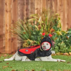 Frisco Ladybug Dog & Cat Costume -FRISCO Sales 260971 PT8. SY630 V1624401658
