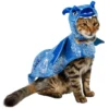 Frisco Dragon Dog & Cat Costume