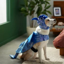 Frisco Dragon Dog & Cat Costume -FRISCO Sales 260973 PT8. SY630 V1624341507