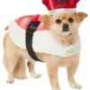 Frisco Sushi Dog & Cat Costume