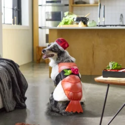 Frisco Sushi Dog & Cat Costume -FRISCO Sales 260983 PT8. SY630 V1624397339