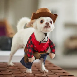 Frisco Front Walking Country Singer Dog & Cat Costume 19 Frisco Front Walking Country Singer Dog & Cat Costume -FRISCO Sales 260987 PT8. SY630 V1624398920