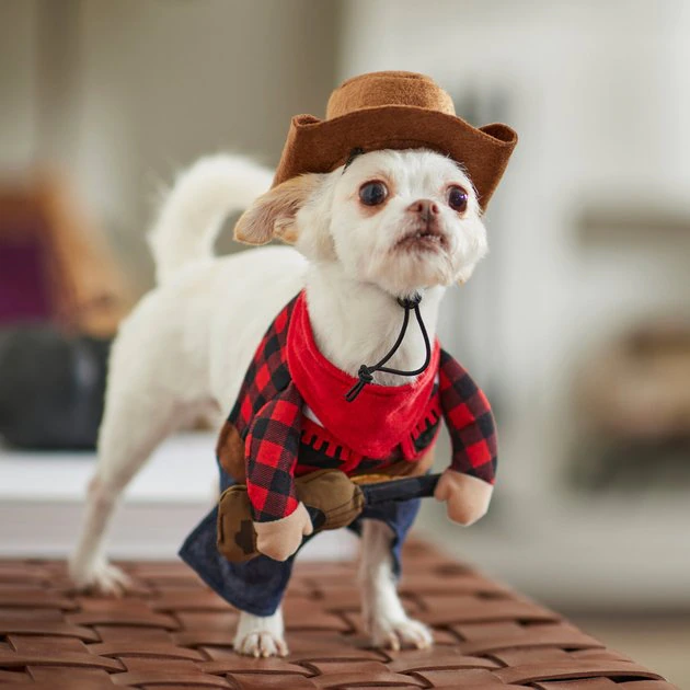 Frisco Front Walking Country Singer Dog & Cat Costume 11 Frisco Front Walking Country Singer Dog & Cat Costume - Image 9