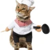 Frisco Front Walking Chef Dog & Cat Costume -FRISCO Sales 261002 MAIN. SY630 V1625075872