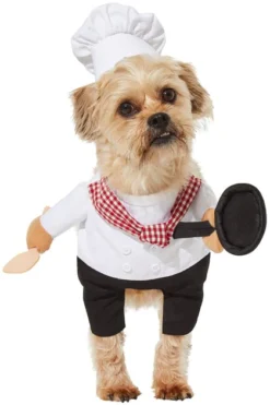 Frisco Front Walking Chef Dog & Cat Costume -FRISCO Sales 261002 PT4. SY630 V1625077392