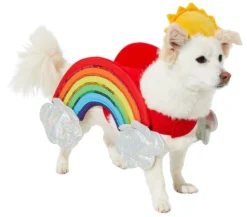 Frisco Rainbow Dog & Cat Costume