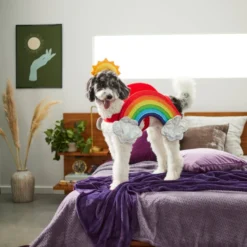 Frisco Rainbow Dog & Cat Costume 15 Frisco Rainbow Dog & Cat Costume -FRISCO Sales 261019 PT8. SY630 V1624370951
