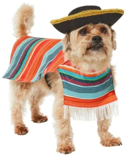 Frisco Serape Dog & Cat Costume