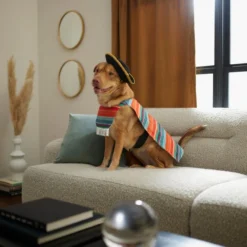 Frisco Serape Dog & Cat Costume -FRISCO Sales 261041 PT8. SY630 V1624339394